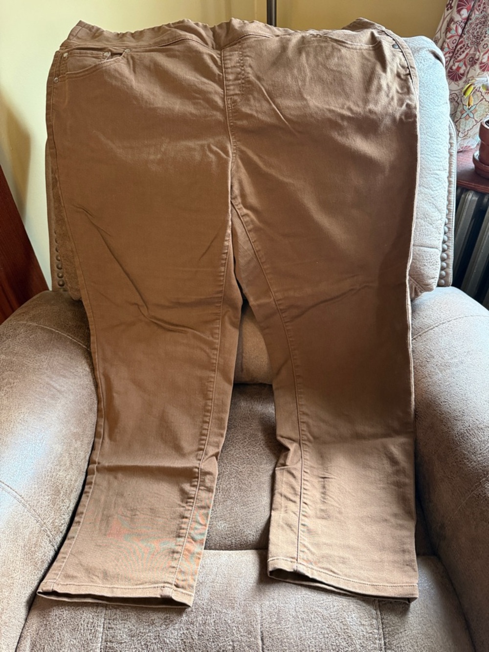 CJ Banks Brown/Tan Women's Pants